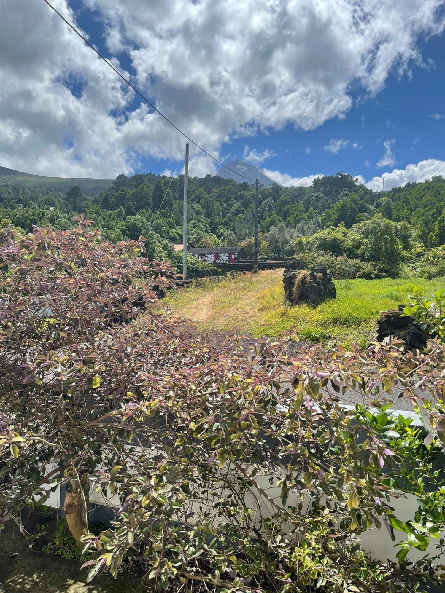 Residencias Requinte São Roque do Pico Exteriör bild